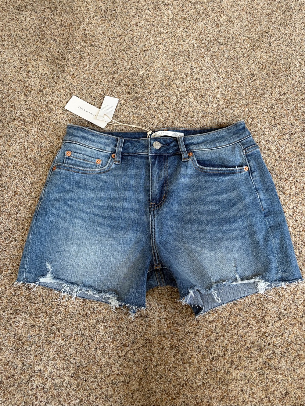 Altar’d State Jean Shorts-Women’s